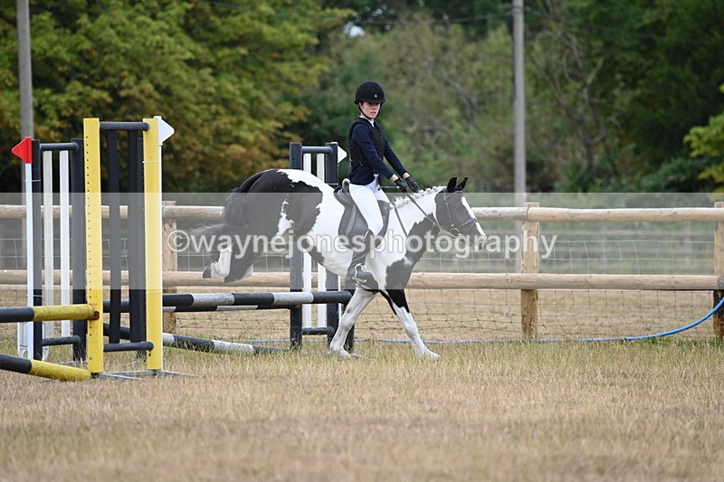 WJ6_0309 - Class 13 Novice Jumping 60cm