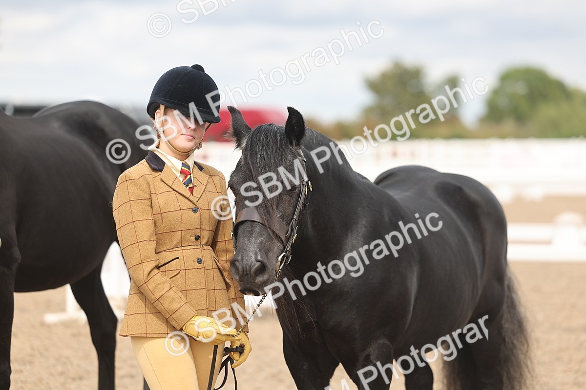 SBM_05006 - Class 20 - IH Veteran
