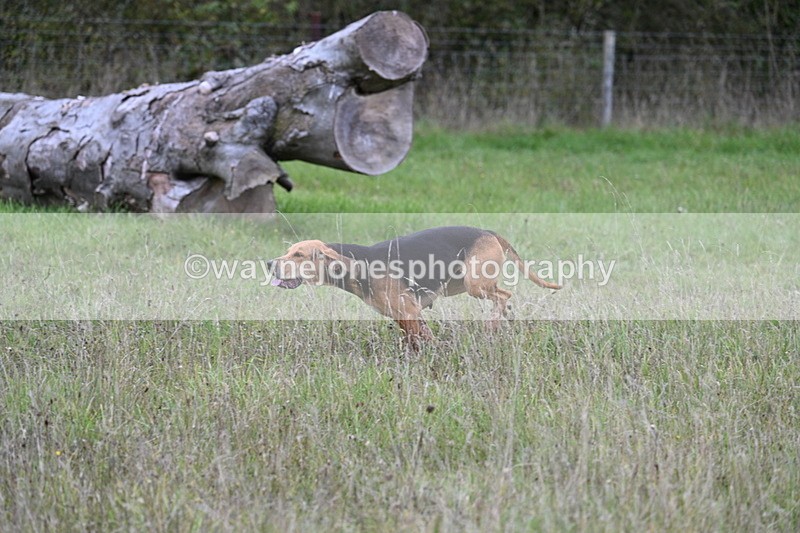 WJ7_3510 - Camera 1 Line 1