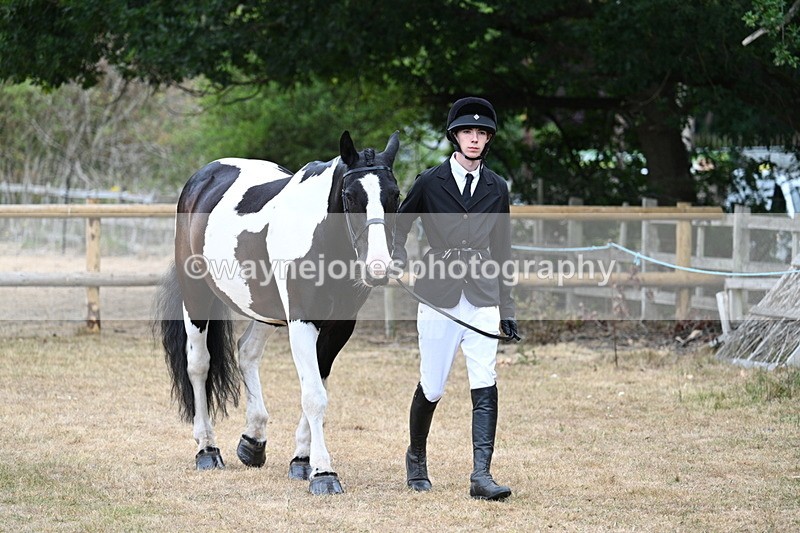WJ7_8679 - Class 4a Prettiest Mare 14.2hh and over