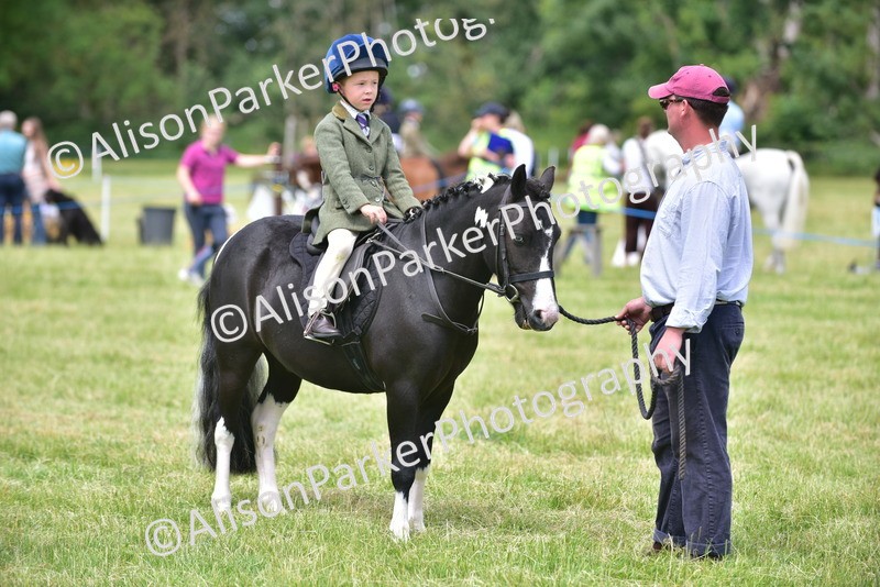 20260614-1380 - Class 11b - Lead Rein Pony (Plaited)