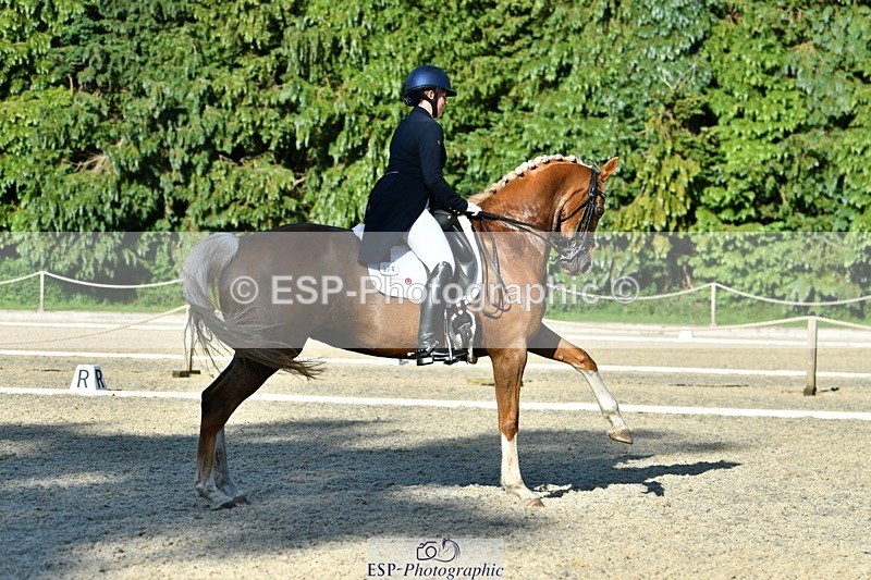 230623-181552-03199 - Cls 11 FEI PSG