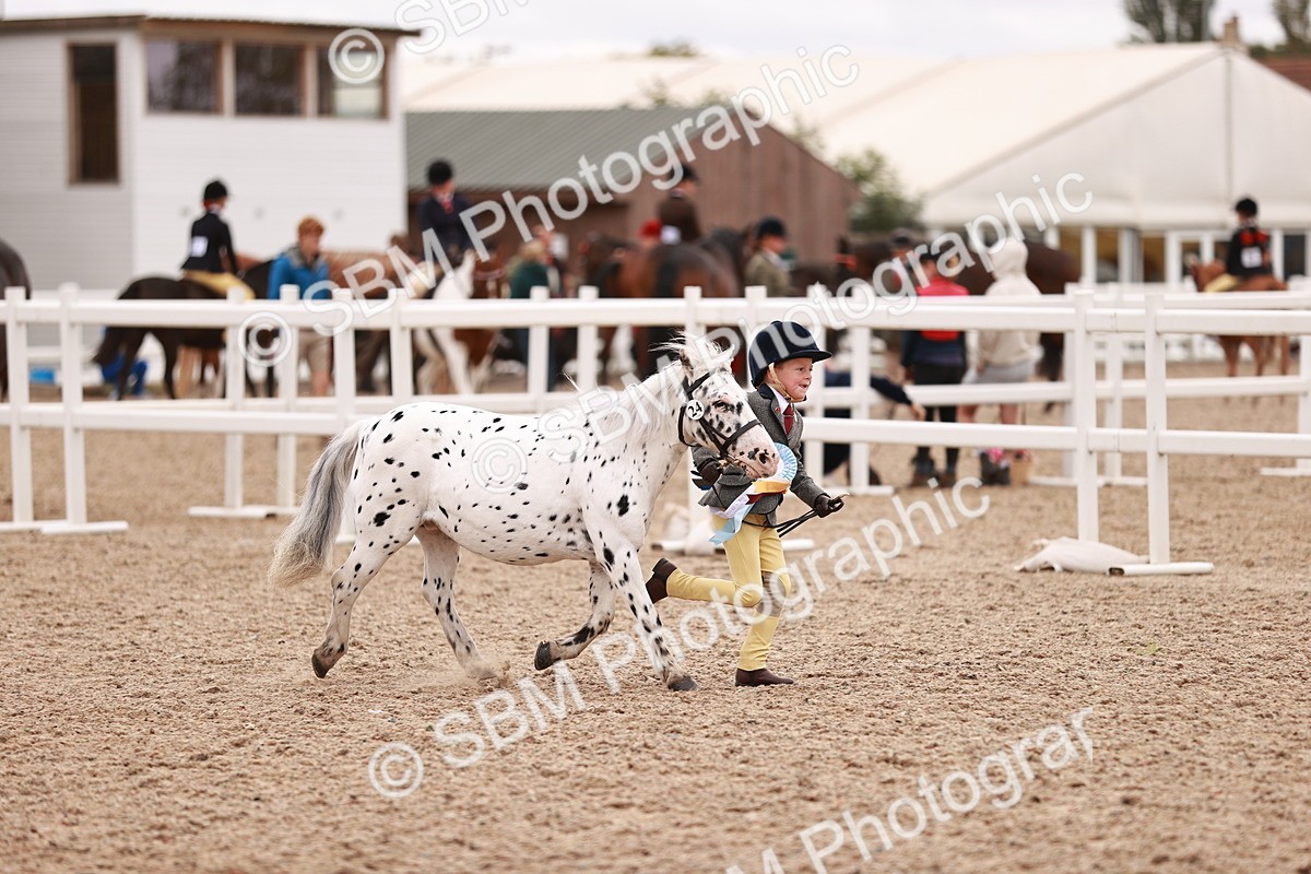 SBM_18638 - Class 421 - Childs Best Friend - Jnr