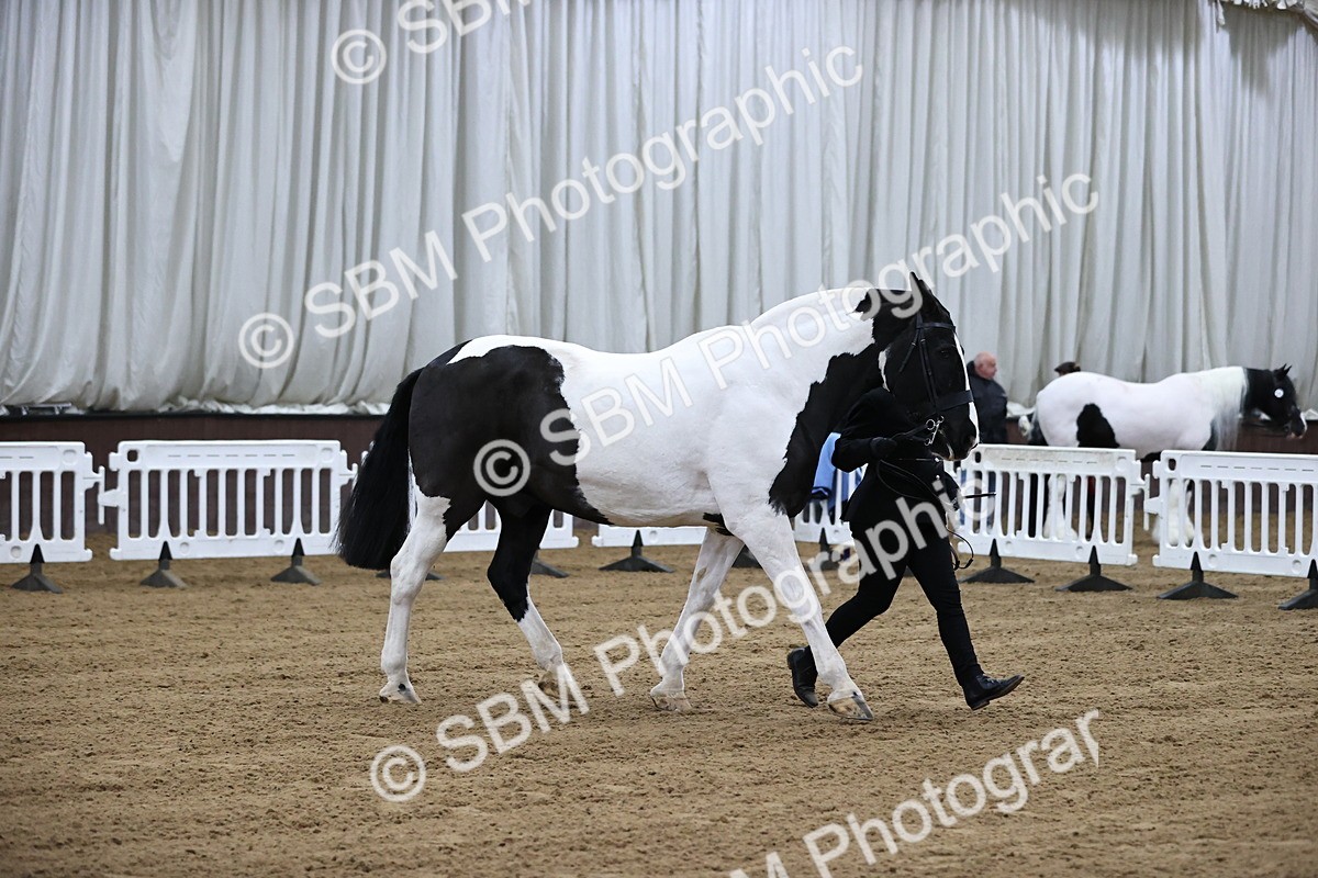 SBM_5340 - Class 32 - In Hand Cob Type