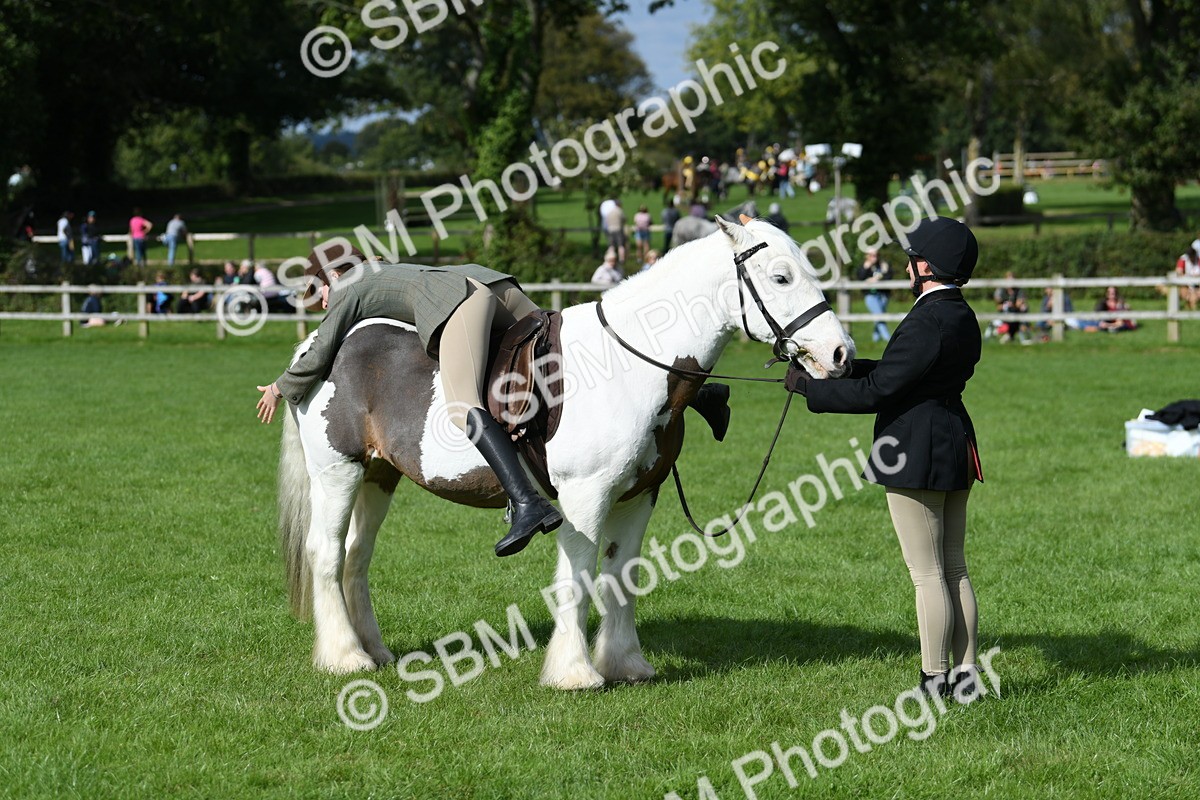SBM_47027 - S12 - Family Horse & Pony