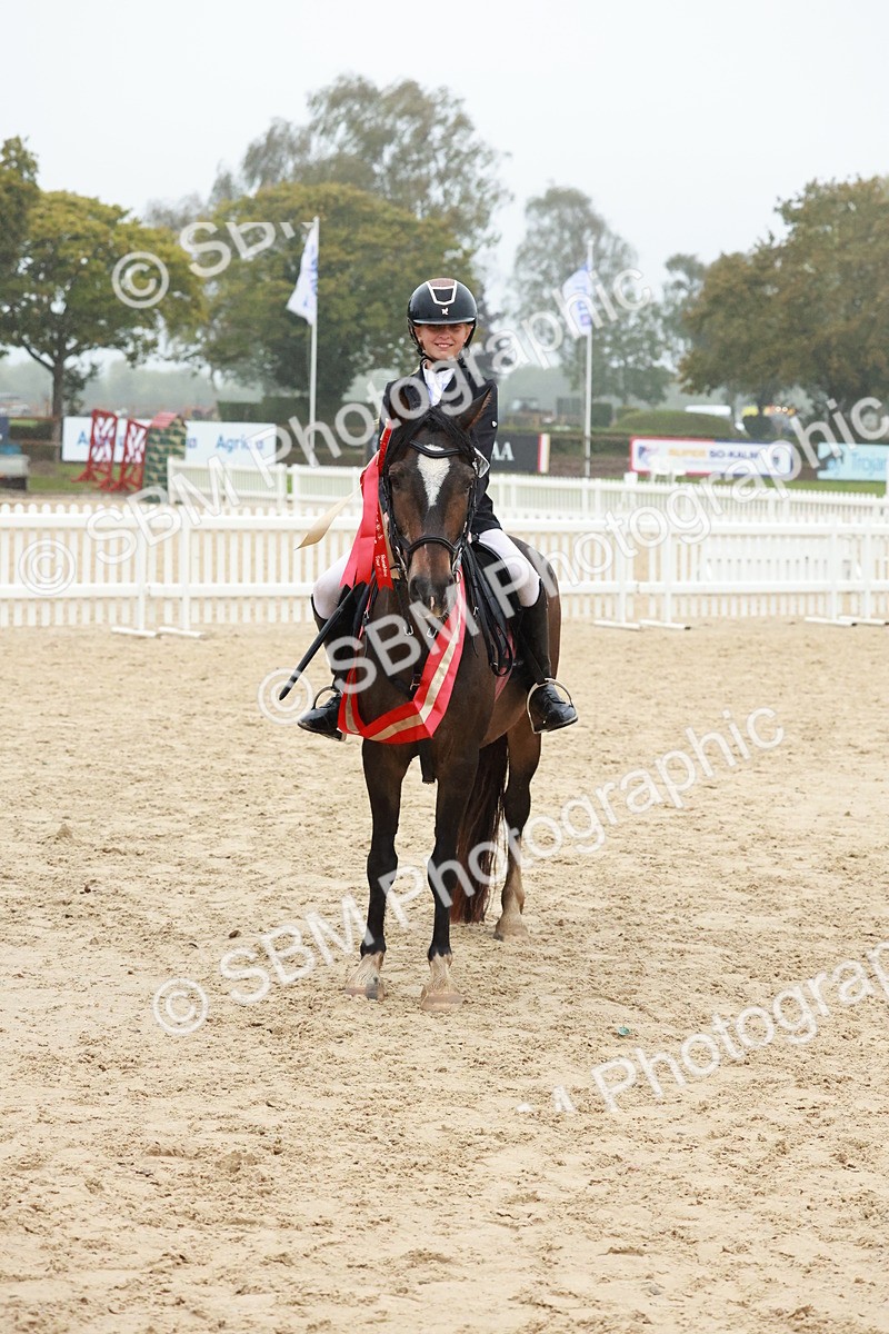 SBM_73445 - Supreme Championship Junior Pony 60cm & 65cm