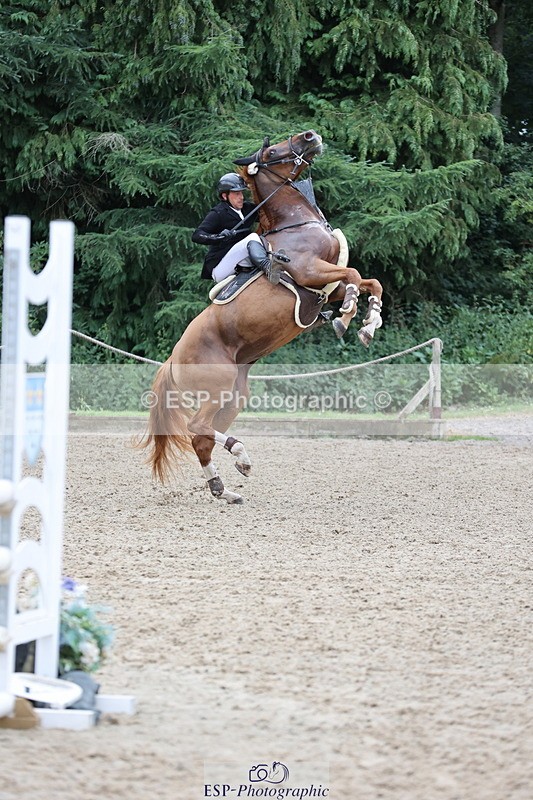 250705A-113940-14115 - Cls 34 4 Year Old Qualifer