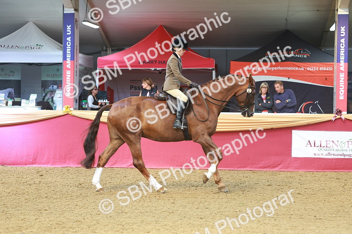 SBM_10535 - Class 103 - HOYS Veteran Qualifier - Ridden Pre Vet