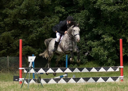 93 - Moniaive Horse Show 2008