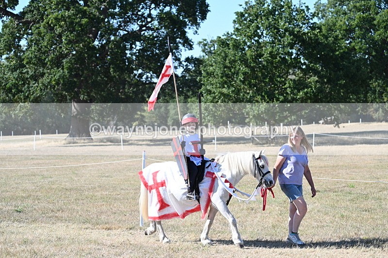 WJ7_2440 - Class 45 Fancy Dress (My Fav)