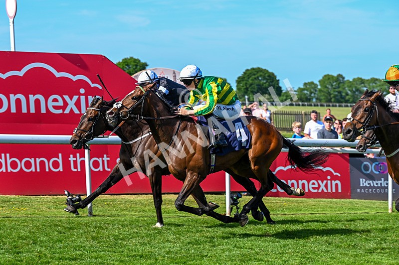 300526-Race 6-Vietnorm-6742 - Race 6 16.32pm ICS Cleaning Services Handicap