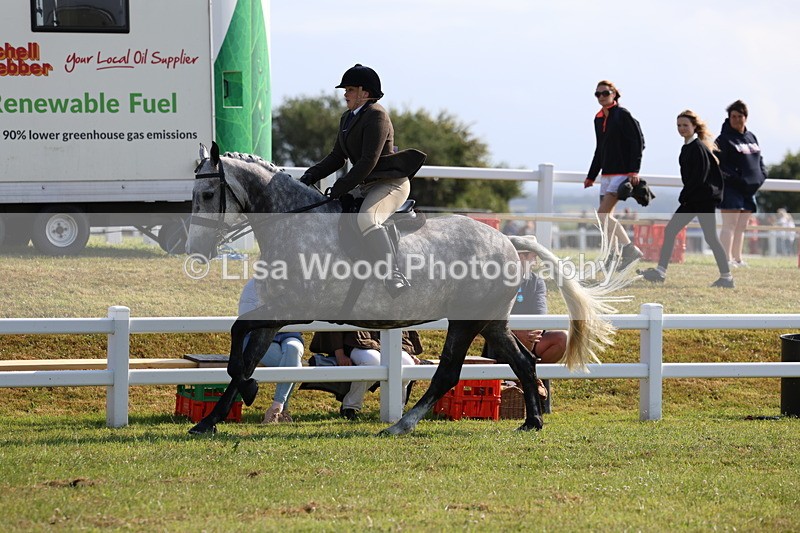 3E7A8642 - Class 3: Rising Star S/L Hunter