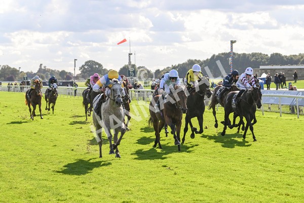 111024-Race 2-Mirabeau-1484 - Race 2 2.05pm British EBF £100,000 Final