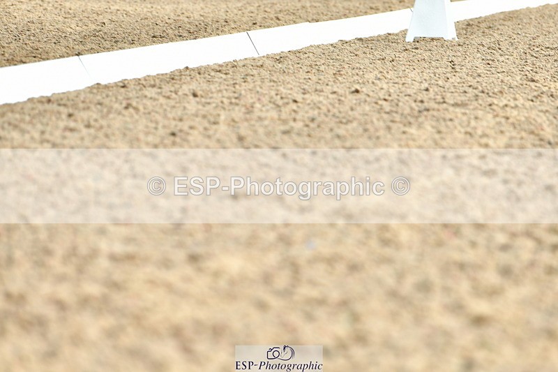 230708A-092115-02065 - Prelim 13