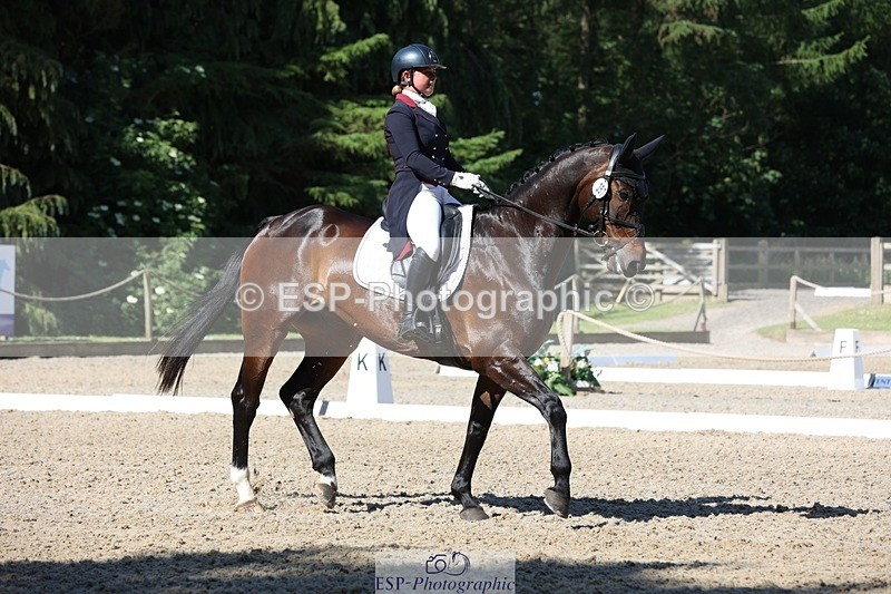 230526-094503-05157 - 357-VIVENDI_HERO-Saffron_Cresswell-WEDTrotUp+DR