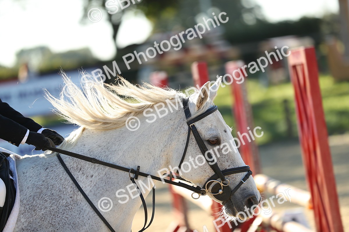 SBM_14826 - J32 - Senior 70cm Championship