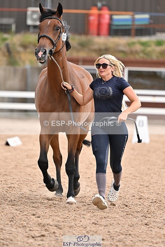250716-145435-01498 - Trot Up 2.30 to 3.30