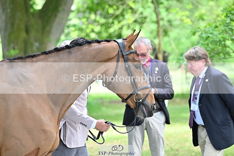 250521A-151332-00351 - B-353-Alexander.Bragg-JAEGER.MASTER