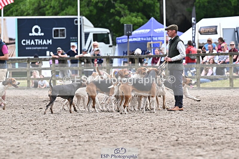 250524A-152342-12725 - East Devon Hounds