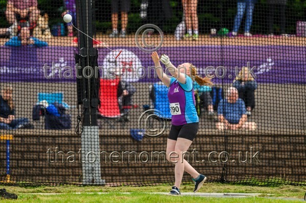 Sen25SAT-924652 - Field Female Set Two