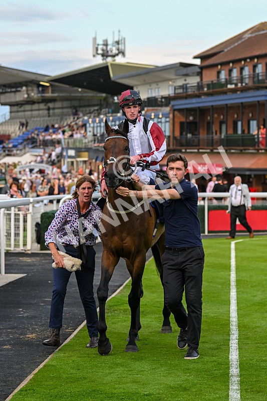 170625-Race 4-Nibras Gold-6833 - Race 4