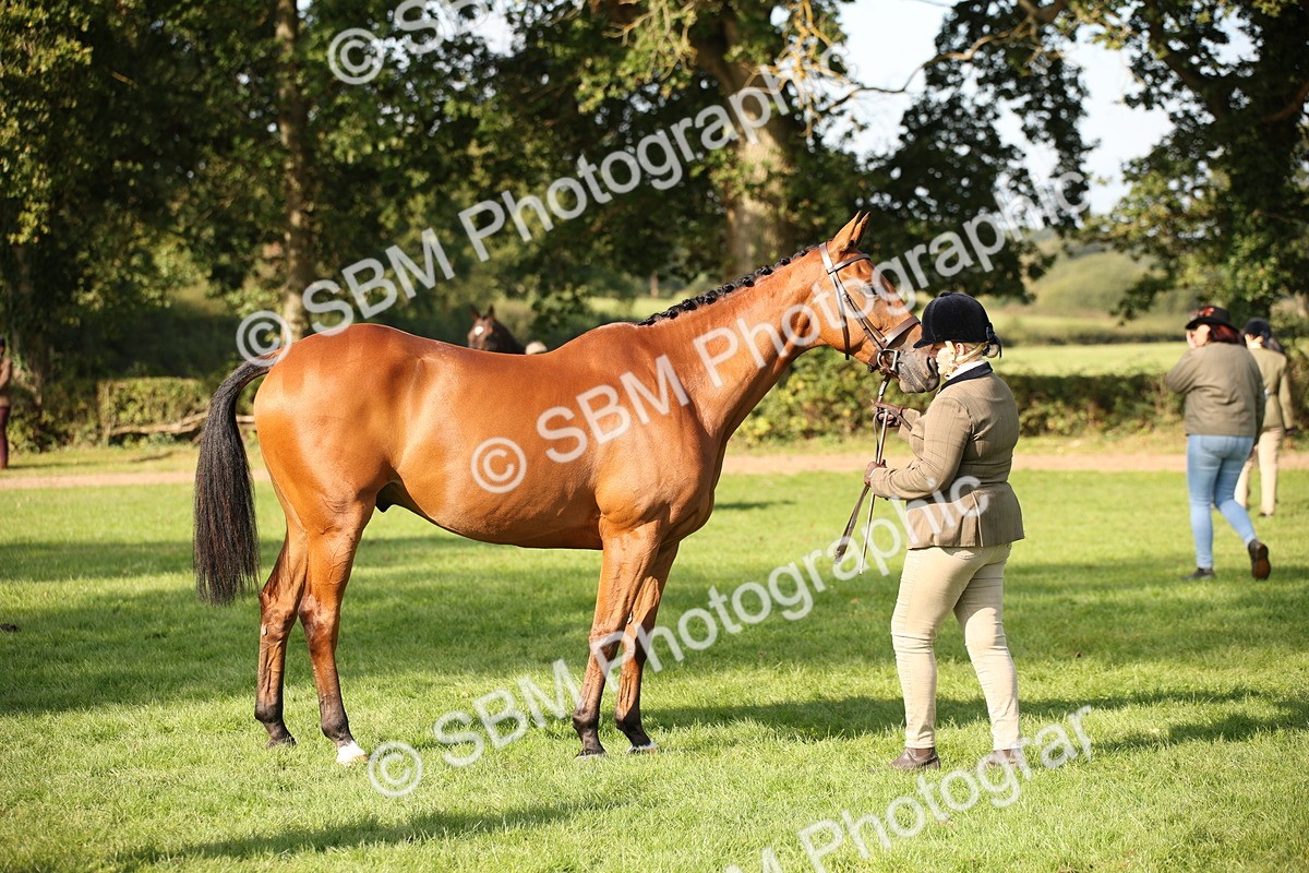 SBM_60111 - S53 - Hunter In Hand