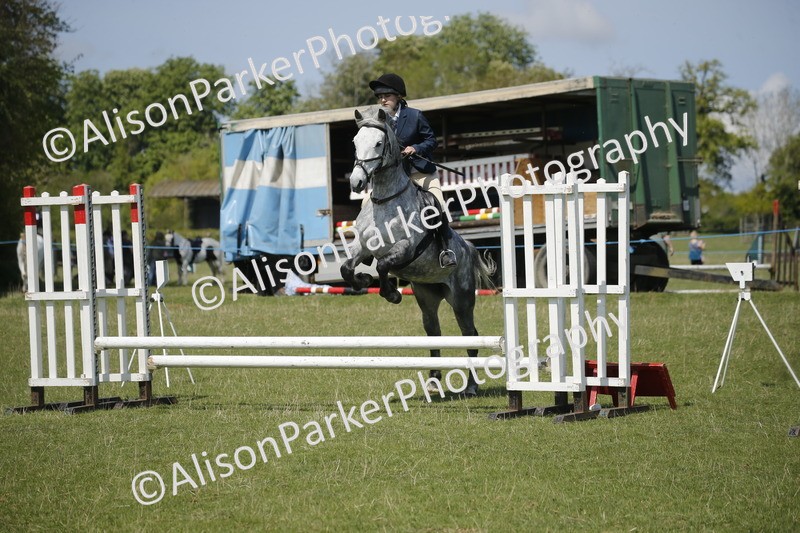 20250427-3455 - Class 14 - Absolute Novice 70cm