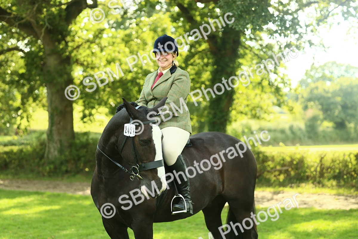 SBM_52192 - S33 - Working Hunter & Working Show Horse