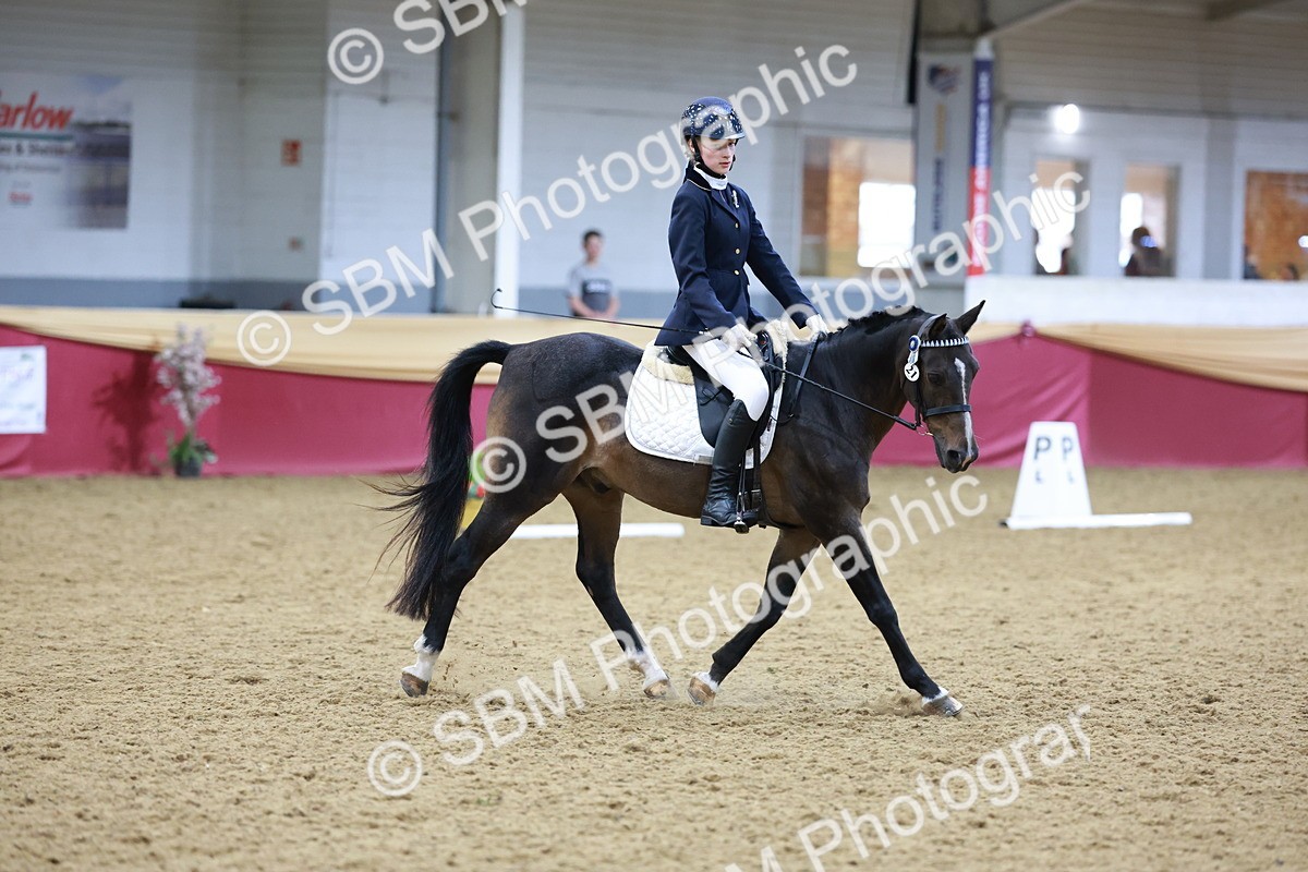 SBM_09281 - Class 61 - Dressage to Music