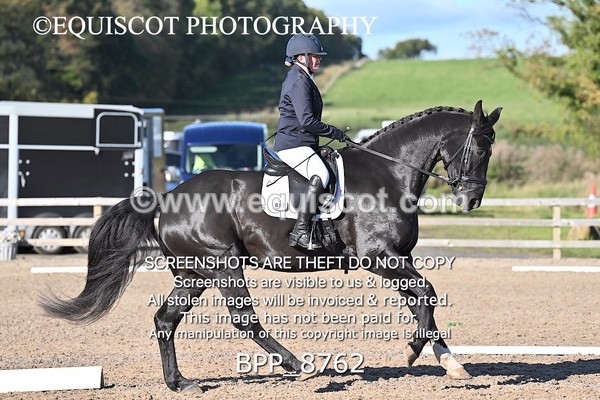 BPP_8762 - LONG ARENA