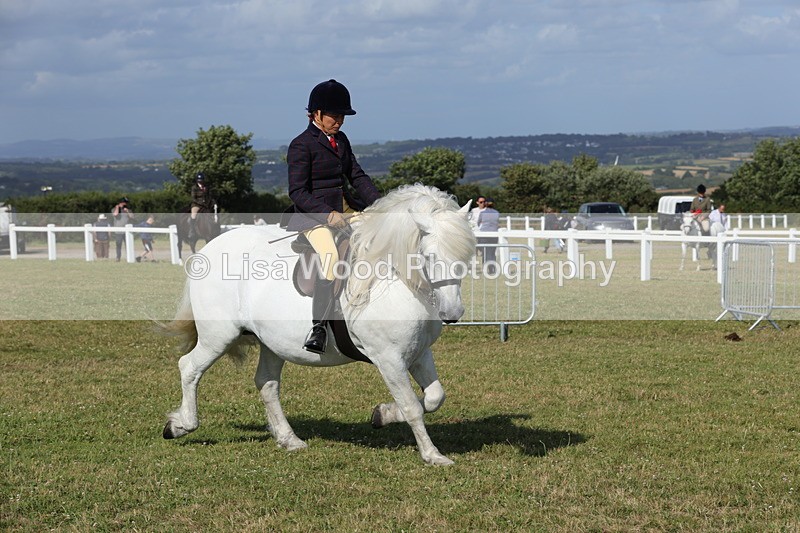1X9A6009 - Class 42: NPS Dales, Fell, Highland