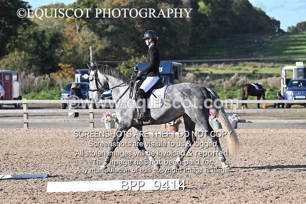 BPP_9414 - SHORT ARENA