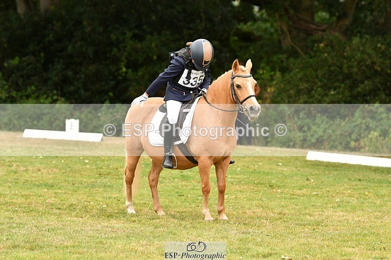 250820A-130818-05745 - 12 to 13.00