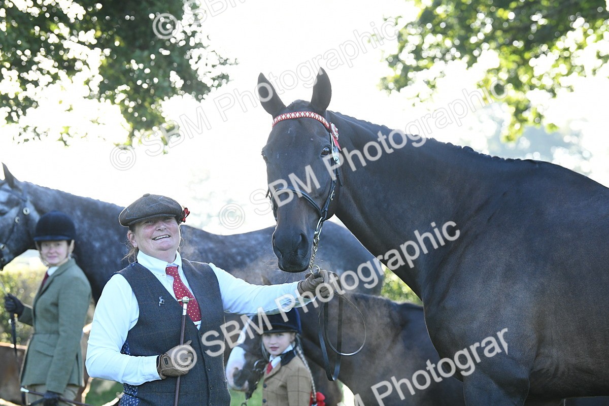 SBM_32698 - S15 - Condition & Turnout In Hand