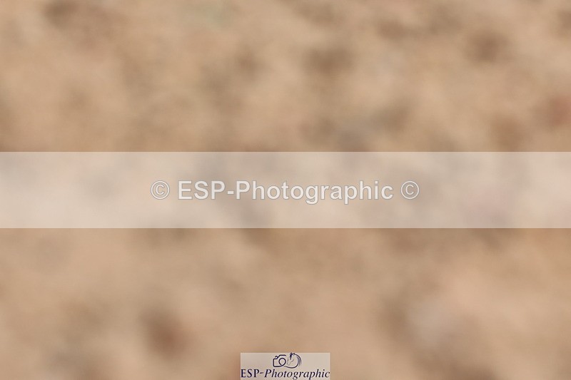 240706A-103424-00448 - Cls 2A Snr Prelim 7 10.15 to End