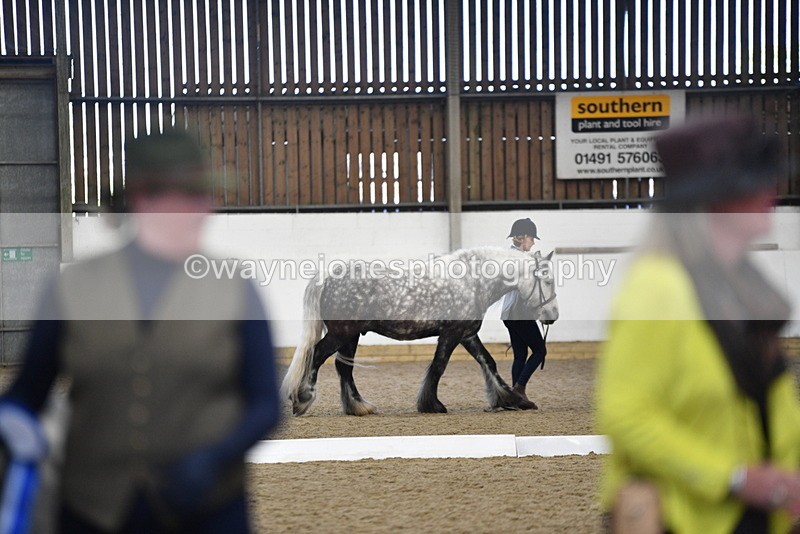 WJ5_5538 - Class 8 In hand cob