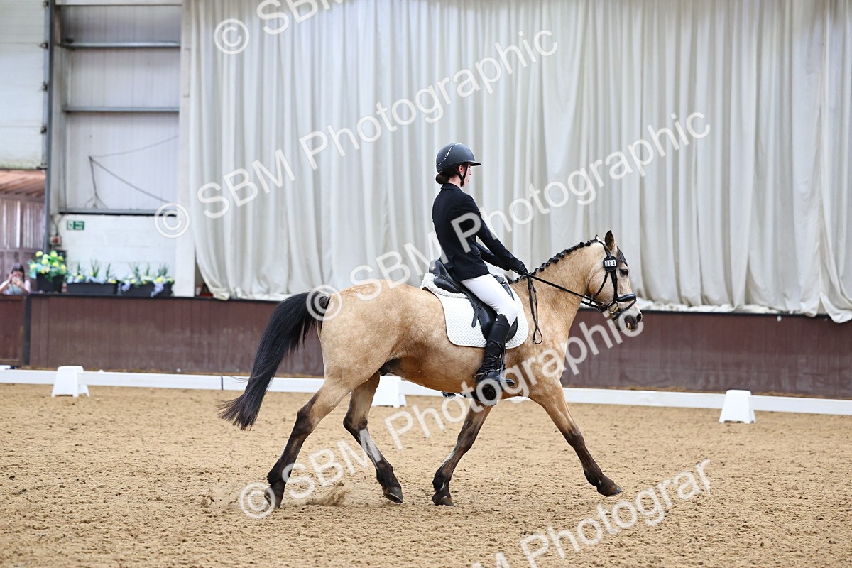 SBM_005431 - Elementary 2