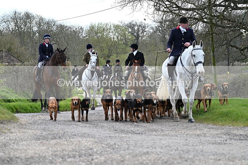 WJ7_9795 - Walk Home