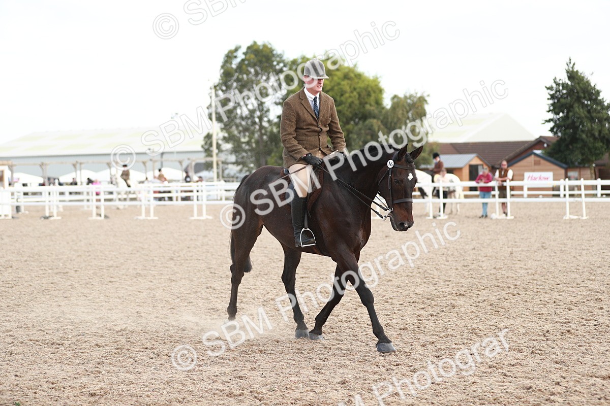 SBM_15519 - Class 213 Ridden Hunter -Large