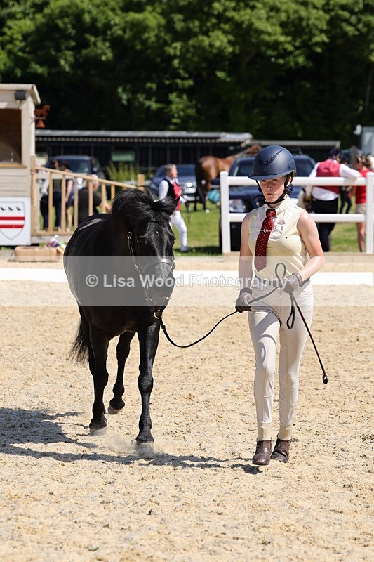 1X9A1136 - Class 9: Open Part Bred