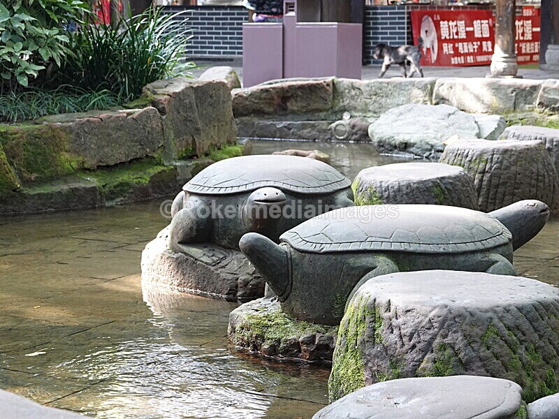 CHINA__0216 - China 2019