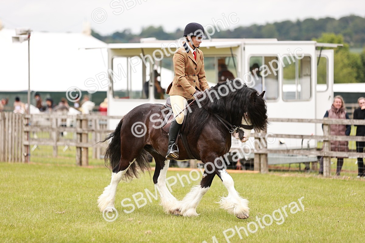 SBM_06183 - Class 39-41 TGCA In Hand and Ridden