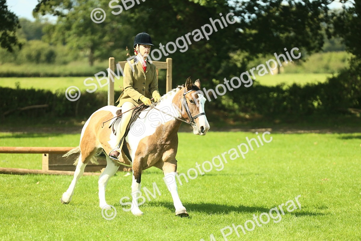 SBM_41976 - S29 - Novice & Newcomers Working Hunter Pony