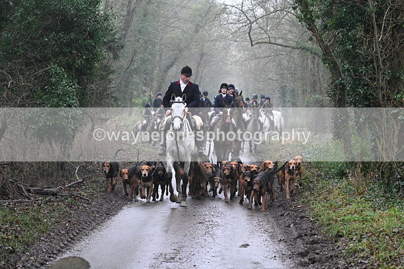 WJ7_3806 - In-between lines