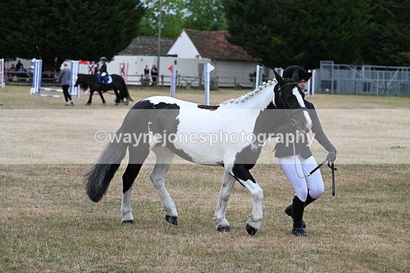 WJ7_8375 - Class 4 Prettiest Mare up to 14.2hh