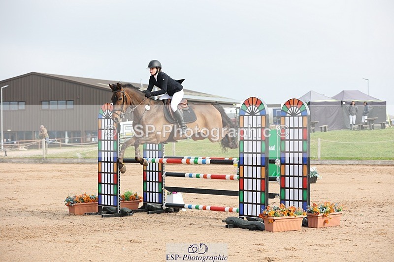 250424-093249-02860 - Cls 29 Young Horse 6yr old