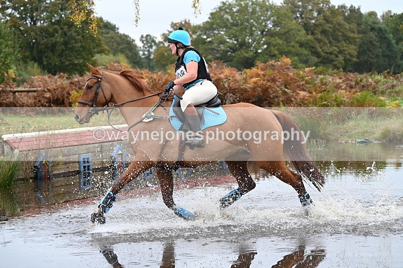 WJ7_2719 - 90cm Cam 2 Water Time 13:05 to 13:27