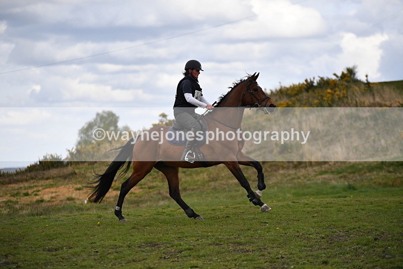 WJ5_3252 - Time 13:55 to 14:19