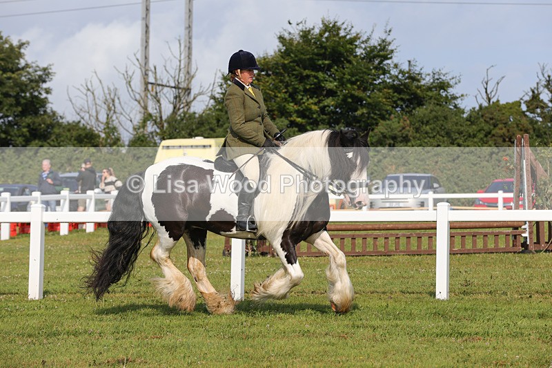 1X9A3351 - Class 28: Ridden Native/Trad Coloured Pony