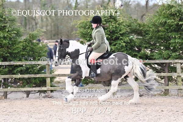 BPP_7375 - RING 1  (RIDDEN HORSES / IN HAND / VETERAN ETC)